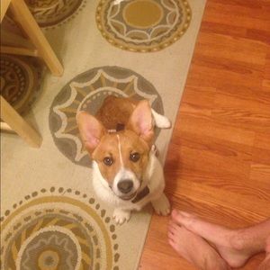 Meet your Posher, Margaret